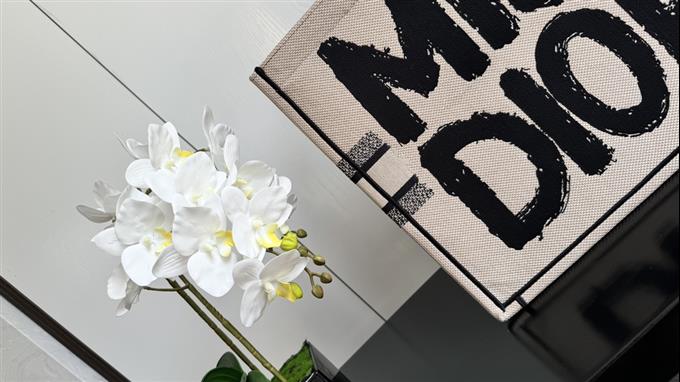 2025228Y600P203826250