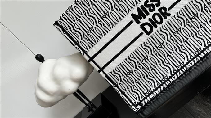 2025228Y600P21221922