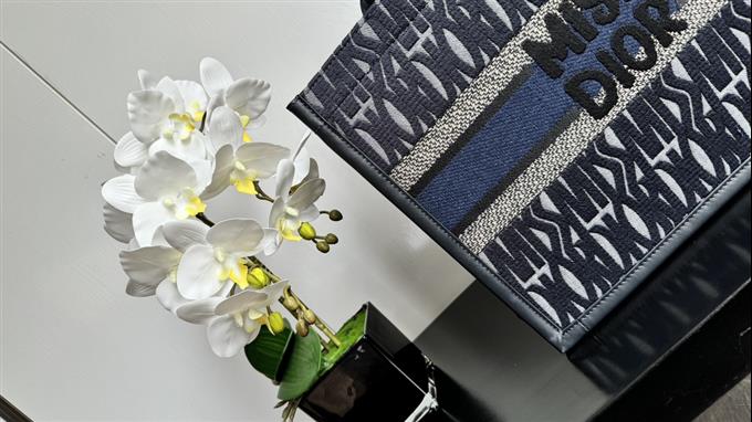 2025228Y700P203829523