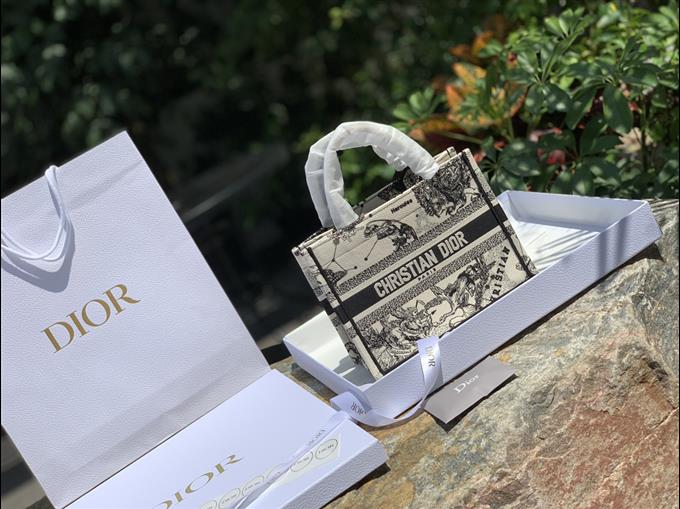 2025228Y700P212145377