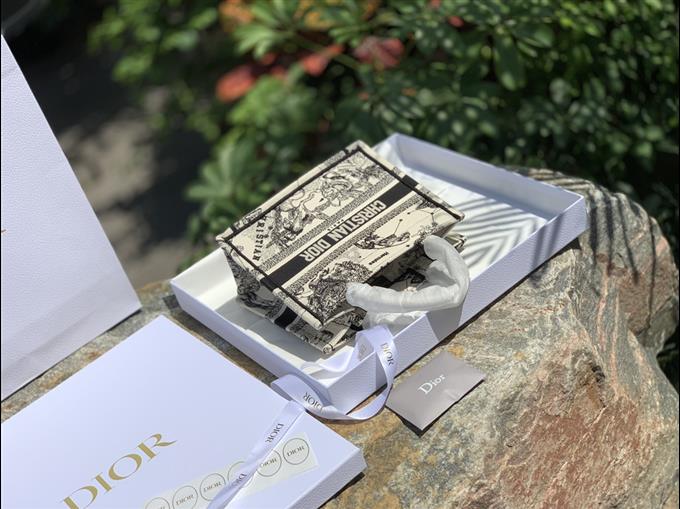 2025228Y700P212145393