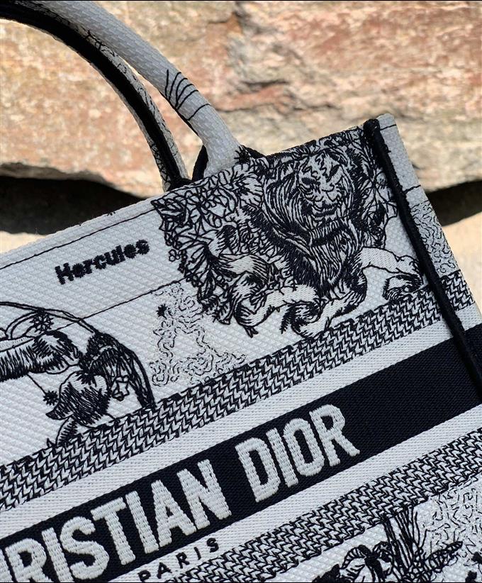 2025228Y700P212145488