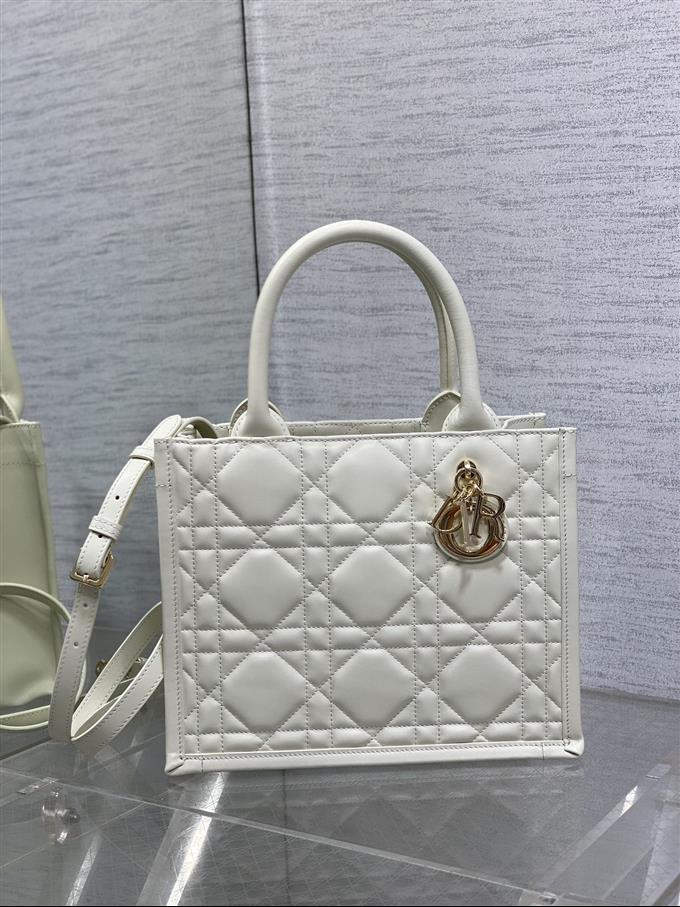 2025228Y750P212147679