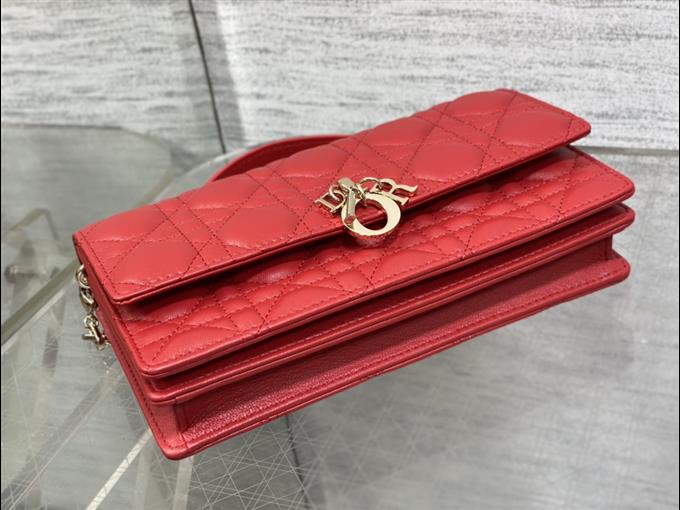 2025228Y600P222151256