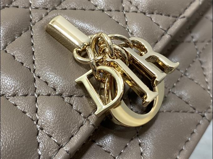 2025228Y600P222152328