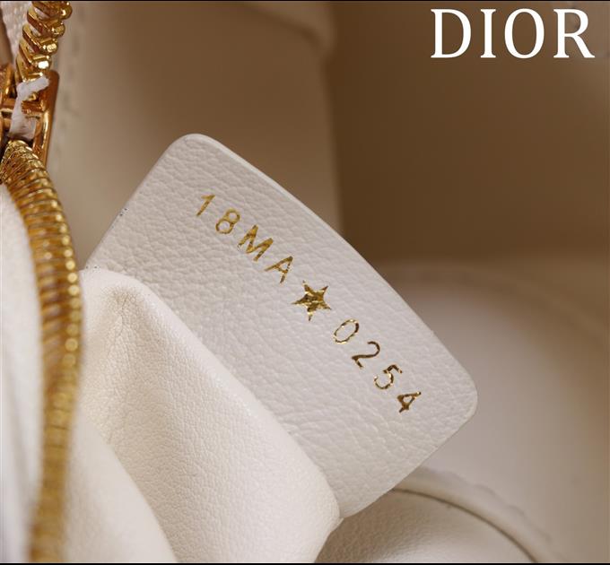 2025228Y600P211431310