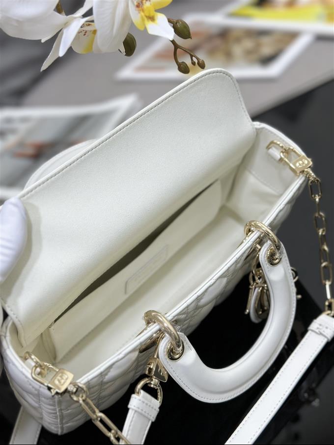 2025228Y600P20451022