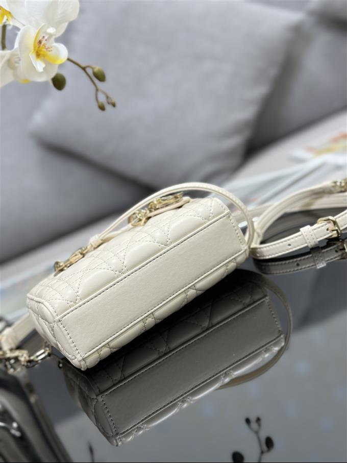 2025228Y600P204510261