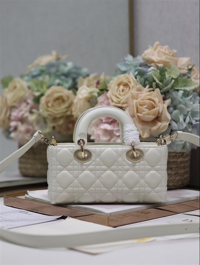 2025228Y650P204353981