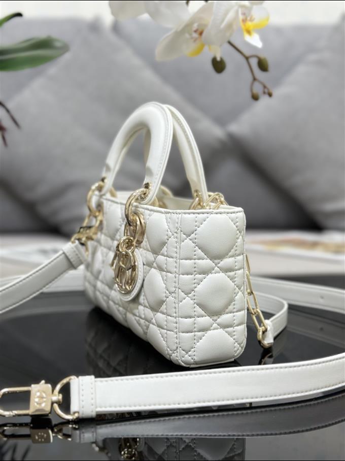 2025228Y650P204511240