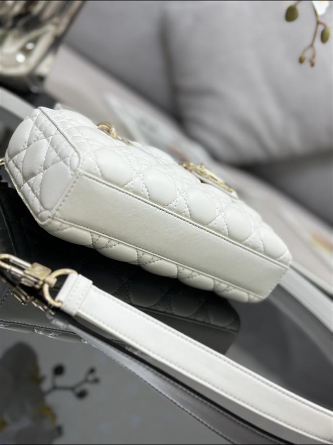 2025228Y650P204511256