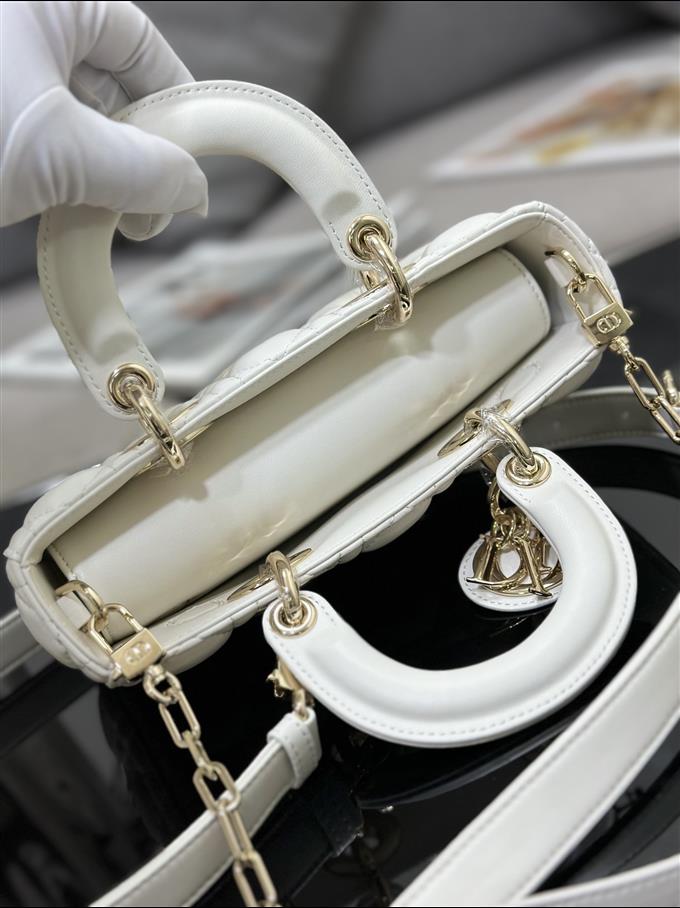 2025228Y650P204511303