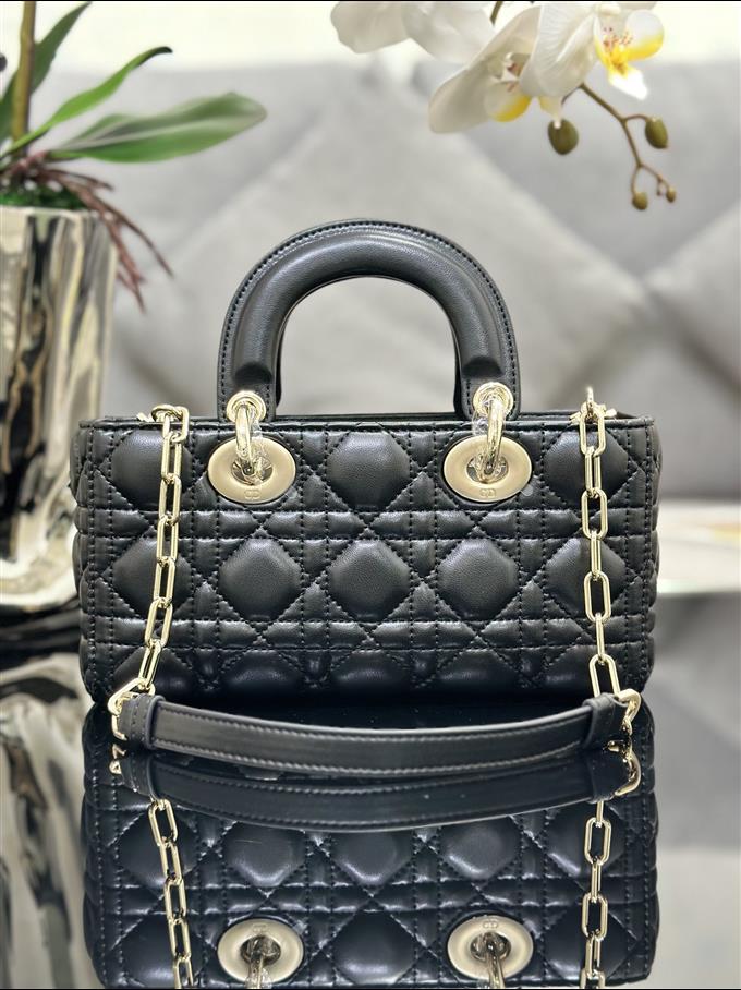 2025228Y650P204511366