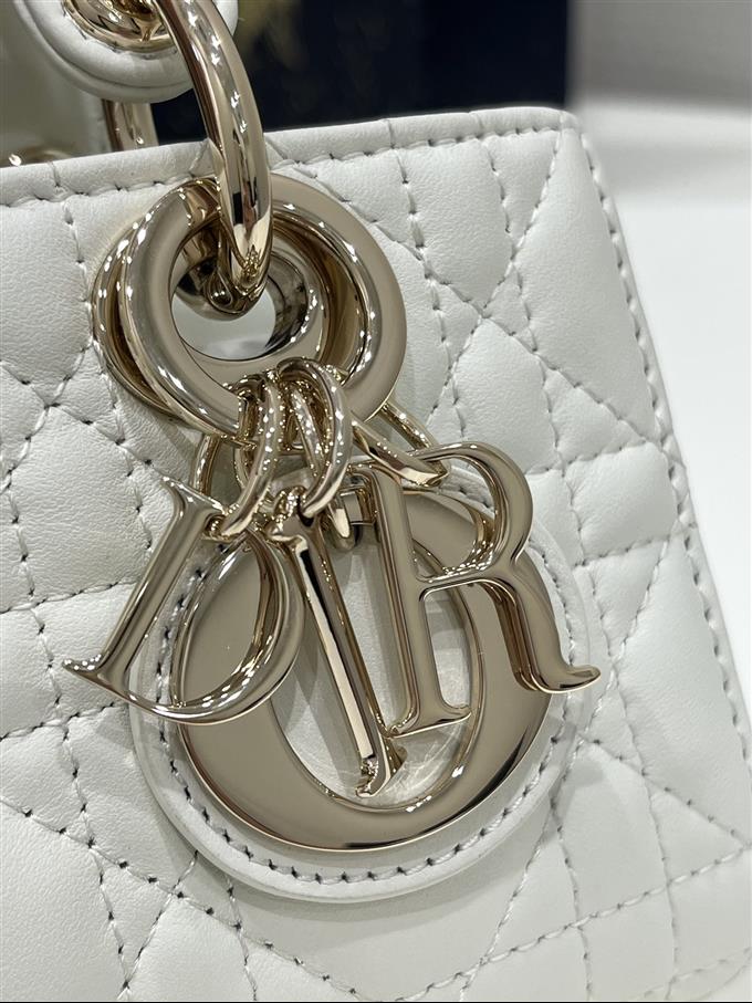 2025228Y650P215710131