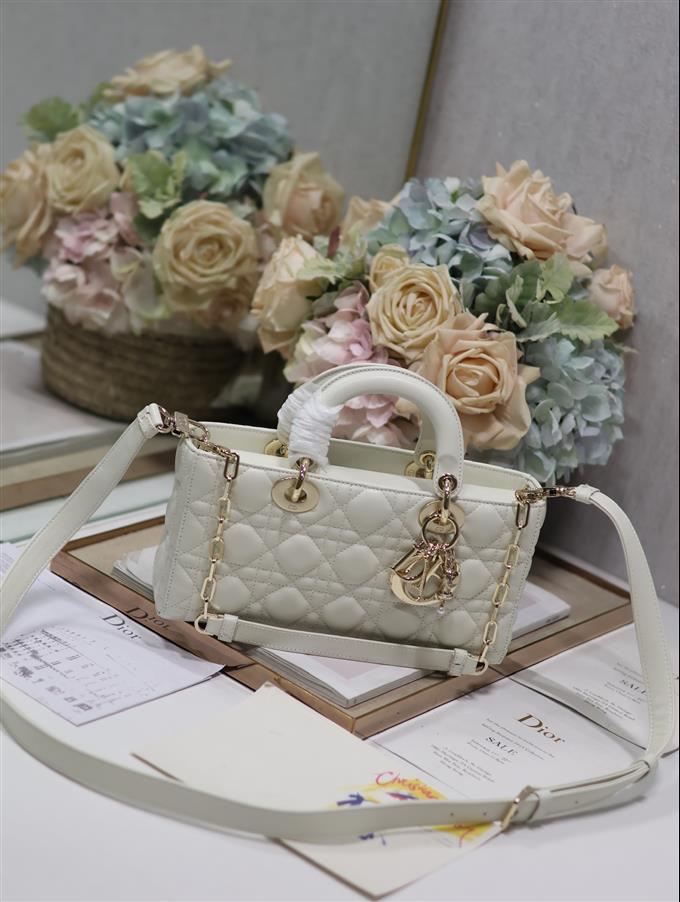 2025228Y680P204355550