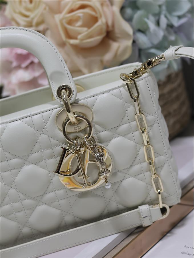 2025228Y680P204355581