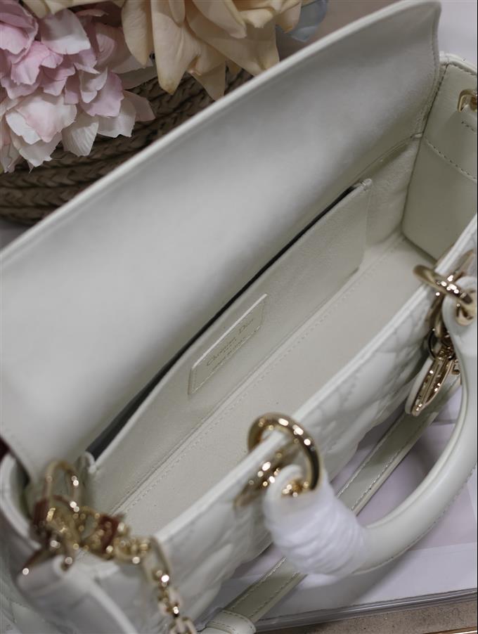 2025228Y680P204355628