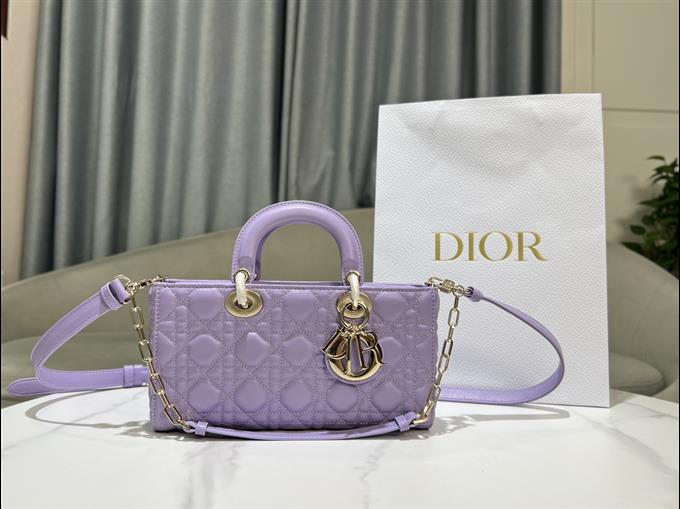 2025228Y680P204511915