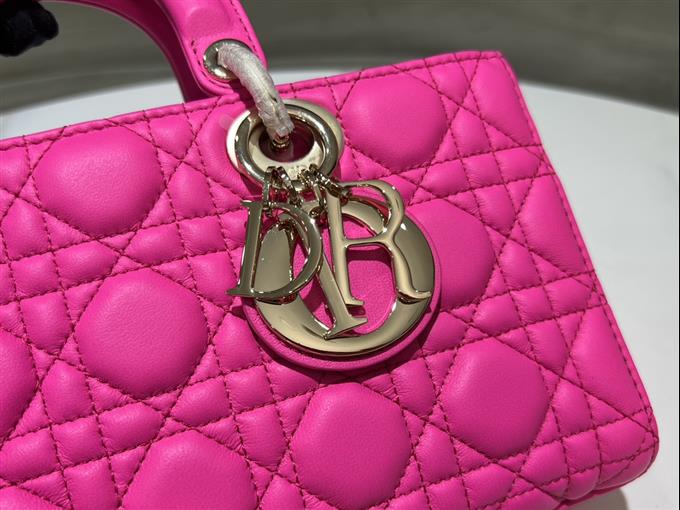 2025228Y680P204512229