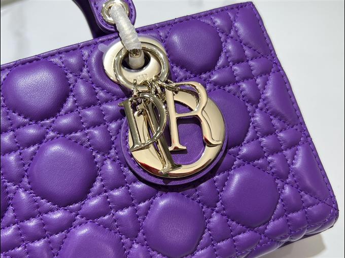 2025228Y680P204512530