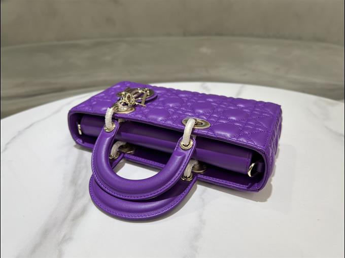 2025228Y680P204512561