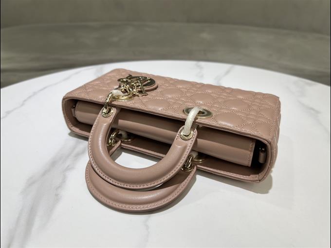 2025228Y680P204512704