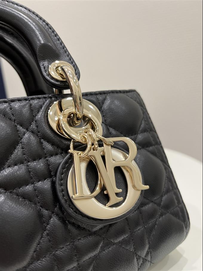 2025228Y680P215711677