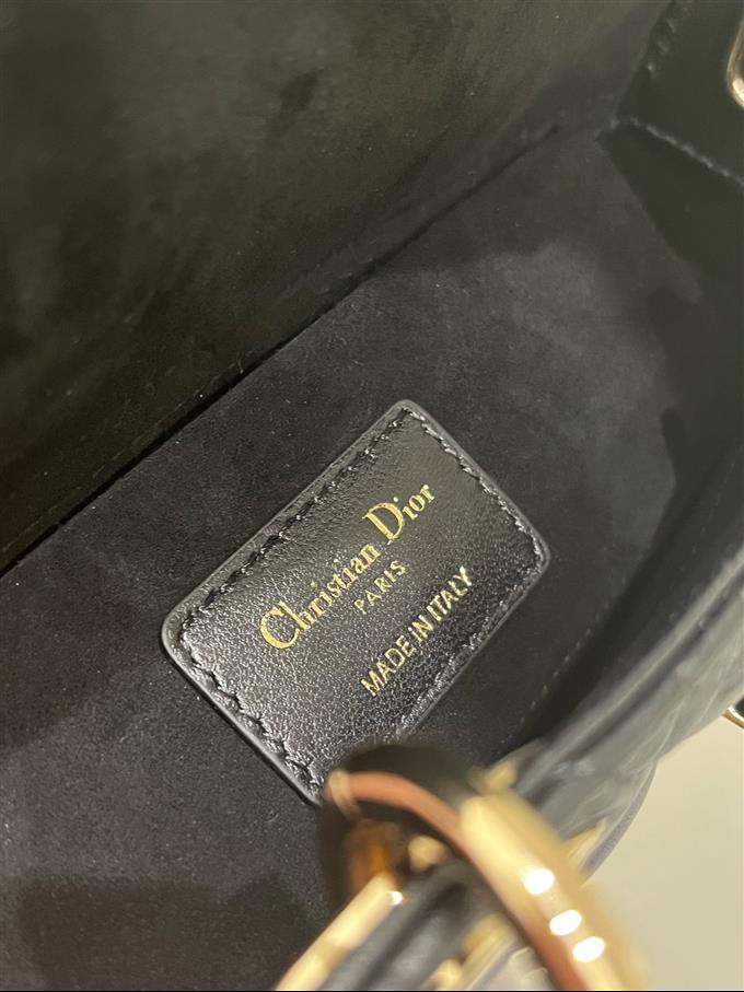 2025228Y680P215711786