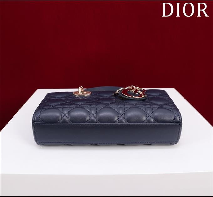 2025228Y700P204358544