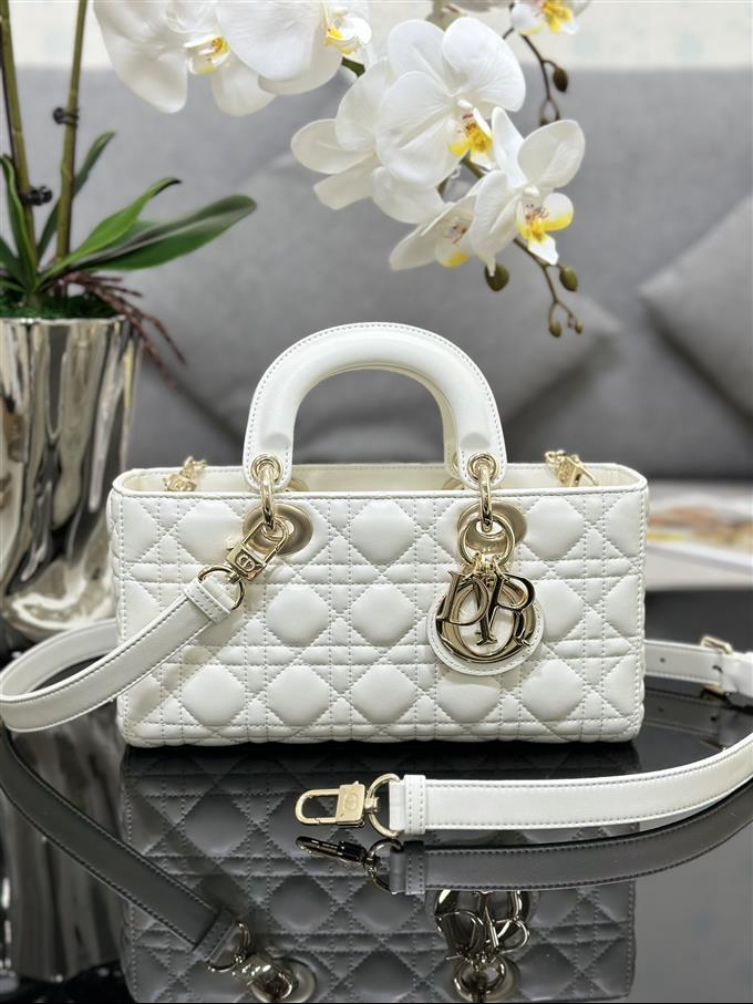 2025228Y700P204513192