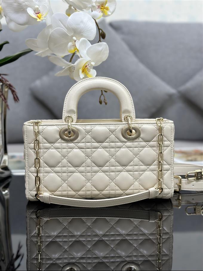 2025228Y700P204513490