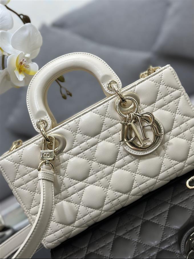 2025228Y700P204513537