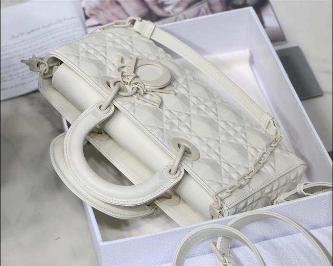 2025228Y700P204514433