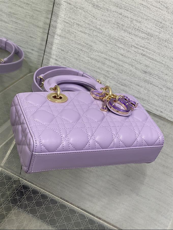 2025228Y700P215712462