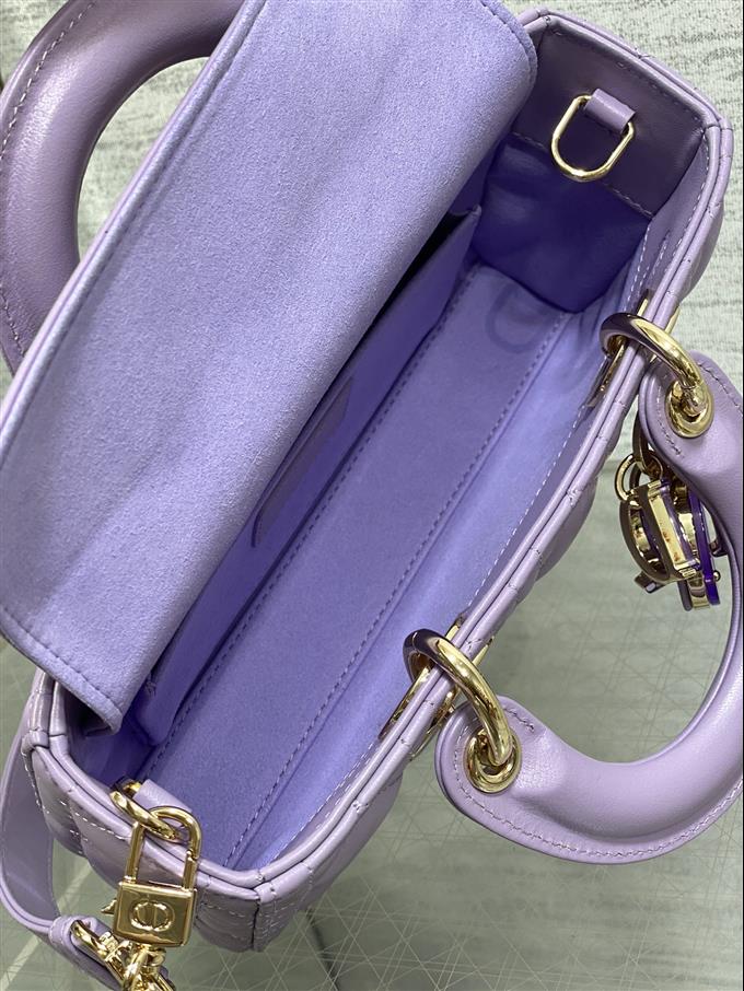 2025228Y700P215712477