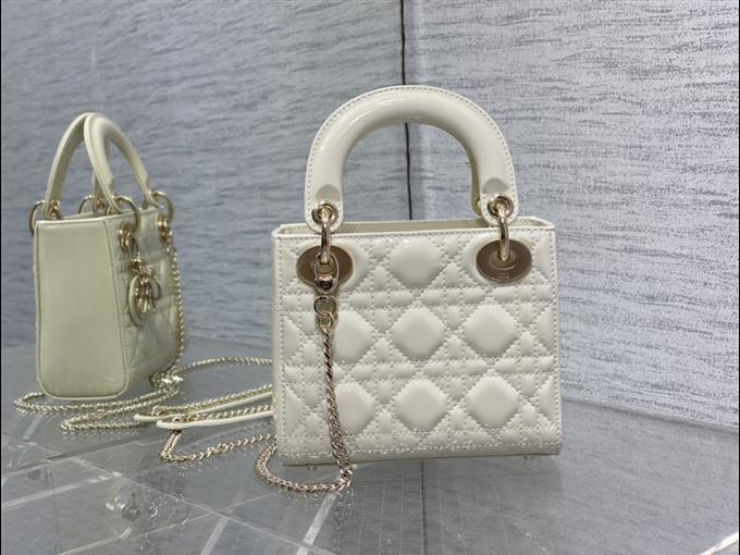 2025228Y600P205544547