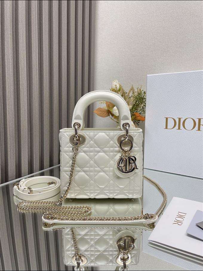 2025228Y600P205548806