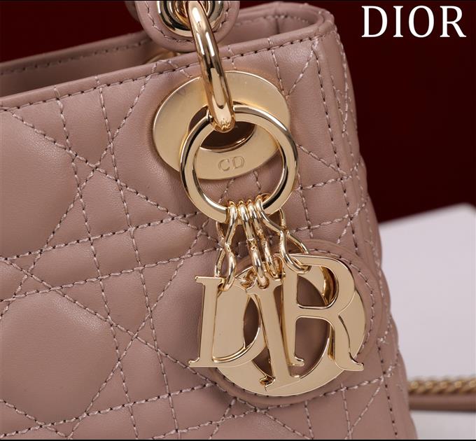 2025228Y600P205550179