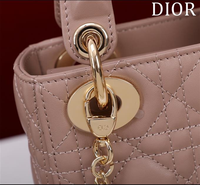 2025228Y600P205550195