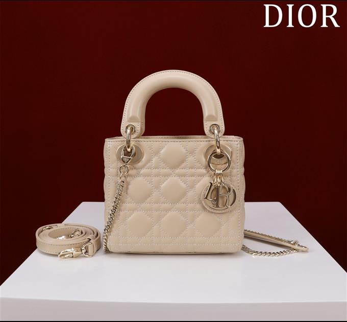 2025228Y600P205550369