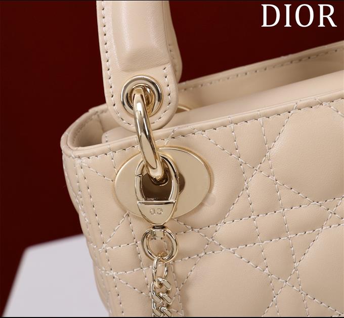 2025228Y600P205550480