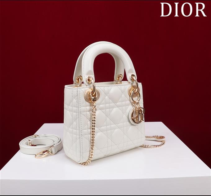 2025228Y600P205550527