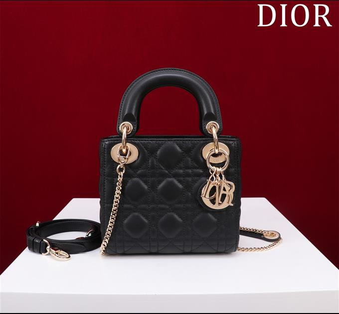 2025228Y600P205550652