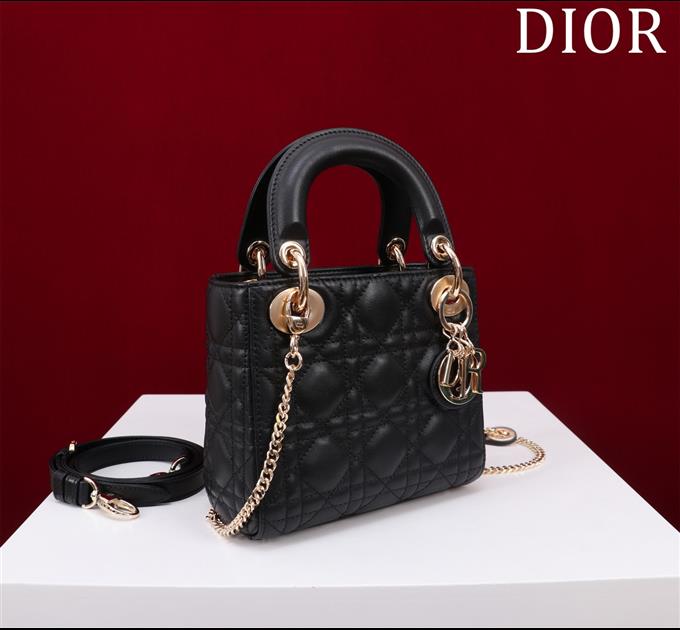 2025228Y600P205550666