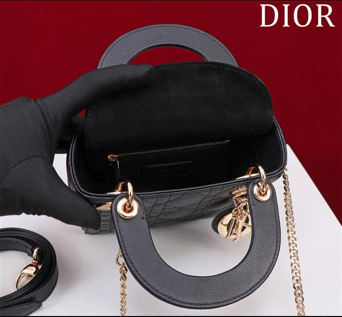 2025228Y600P205550729