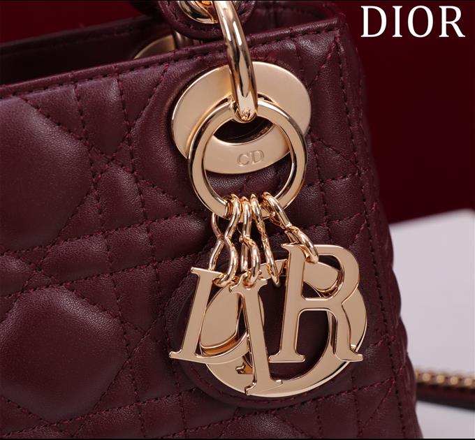 2025228Y600P205553182