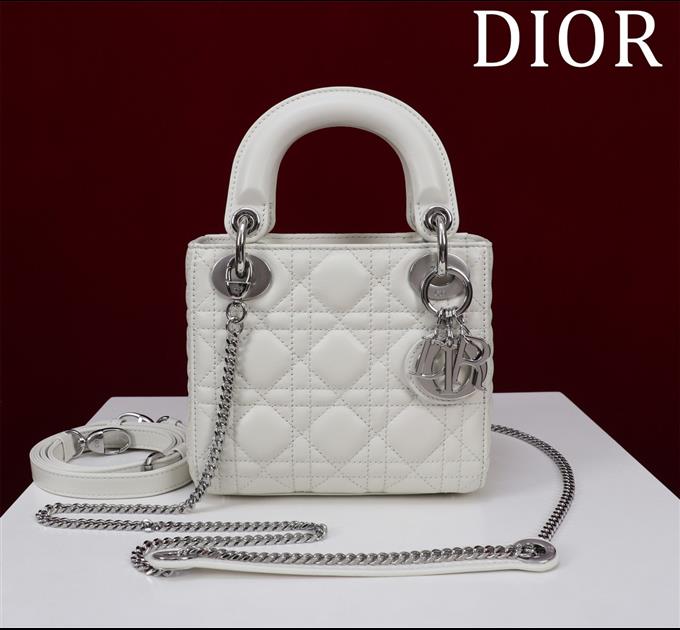 2025228Y600P205554239