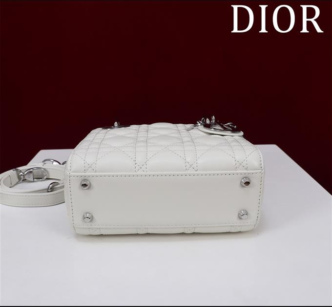 2025228Y600P205554285