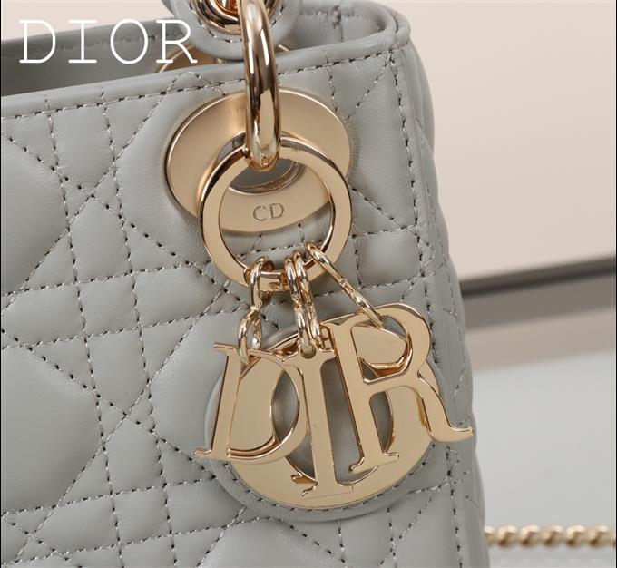 2025228Y600P205556550