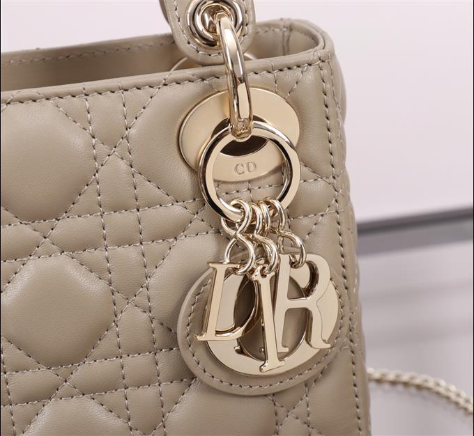 2025228Y600P205557322